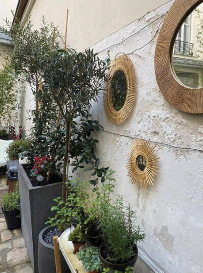 Property view 4